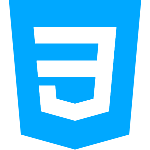 CSS Logo